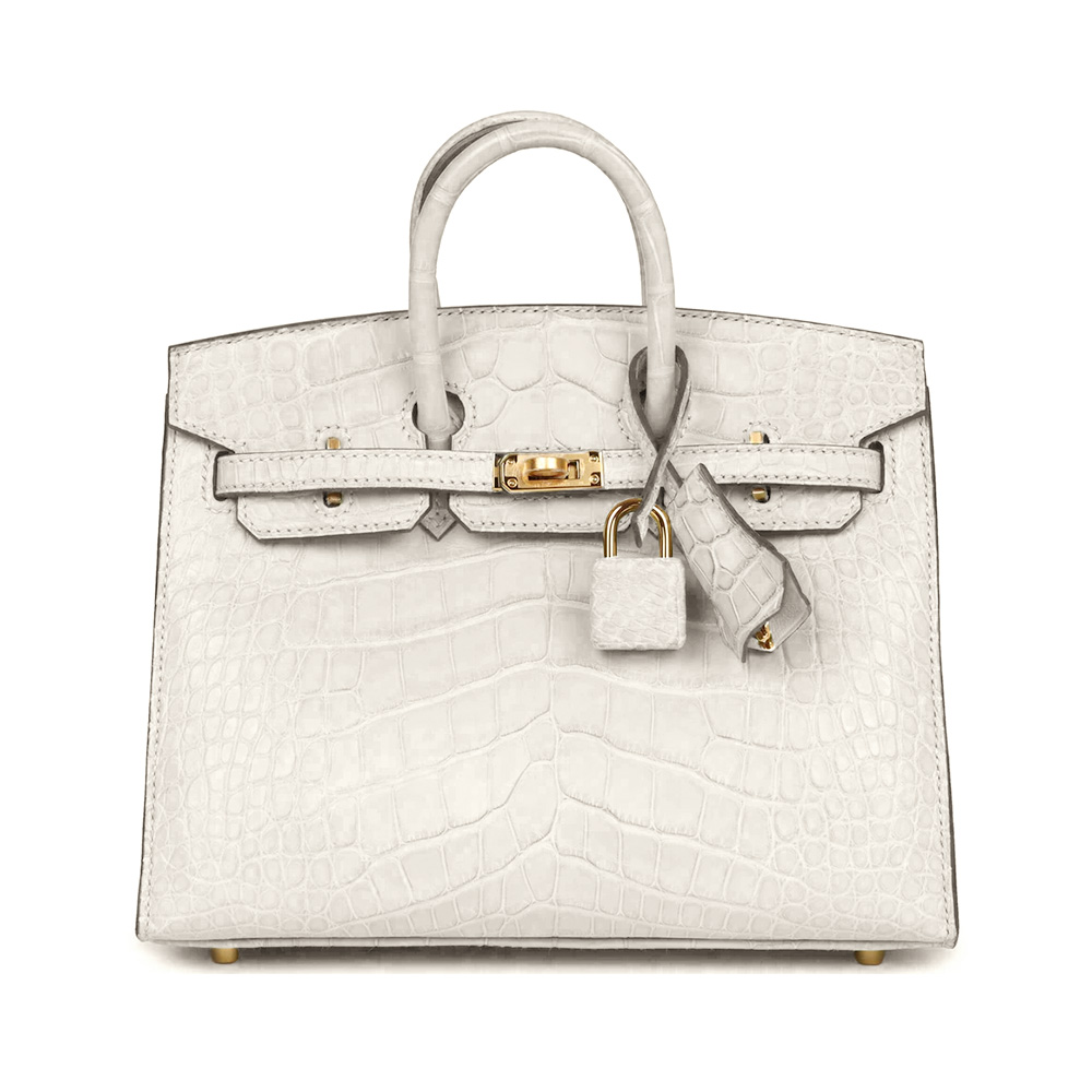 Hermès Birkin 20 White Matte Alligator Ghw –