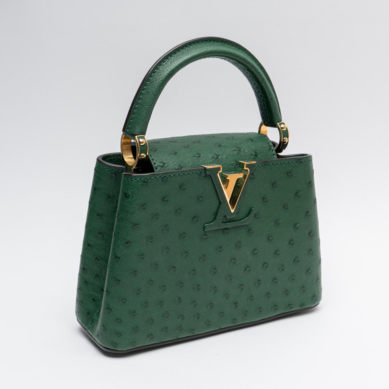 Louis Vuitton Mini Cappucine Ostrich Menthe –